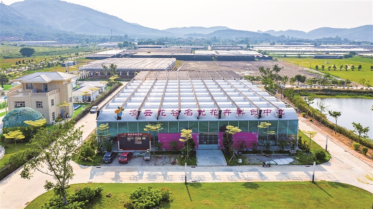 “鳳鳴朝陽”鄉(xiāng)村振興示范帶金色豐收精華段項(xiàng)目——凌云花谷。.jpg
