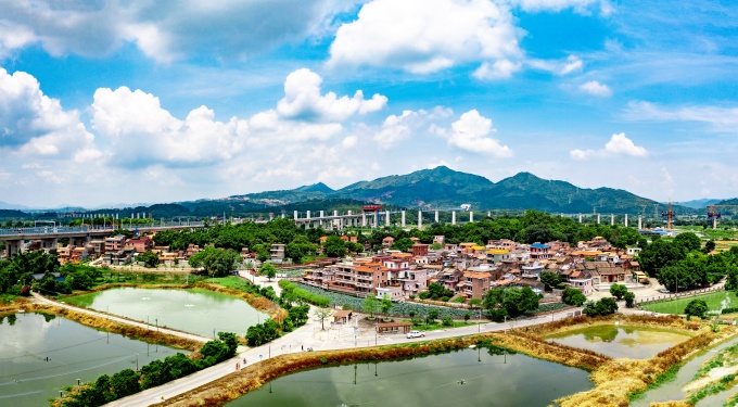 1.廣湛和珠肇兩條高鐵線路蜿蜒于范洲村之上，與靜謐的鄉村肌理形成動靜交融之美 （程俊飛 攝）_副本.jpg