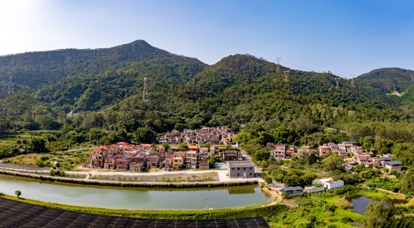 2.正面遠眺石洲村，村舍井然，視野開闊。村莊與廣闊的田野、巍峨的凌云山構(gòu)成中軸線，展現(xiàn)其沉穩(wěn)大氣的格局 （程俊飛 攝）_副本.jpg