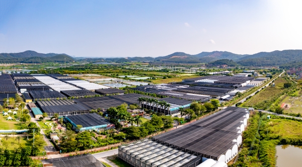 5.航拍視角下，旺林園藝的現(xiàn)代化溫室陣列蔚為壯觀，既是花卉生產(chǎn)的基地，也是荷城街道農(nóng)旅融合的獨特風景線 （程俊飛 攝）_副本.jpg